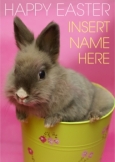 Easter Bunny Card Easter Bunny